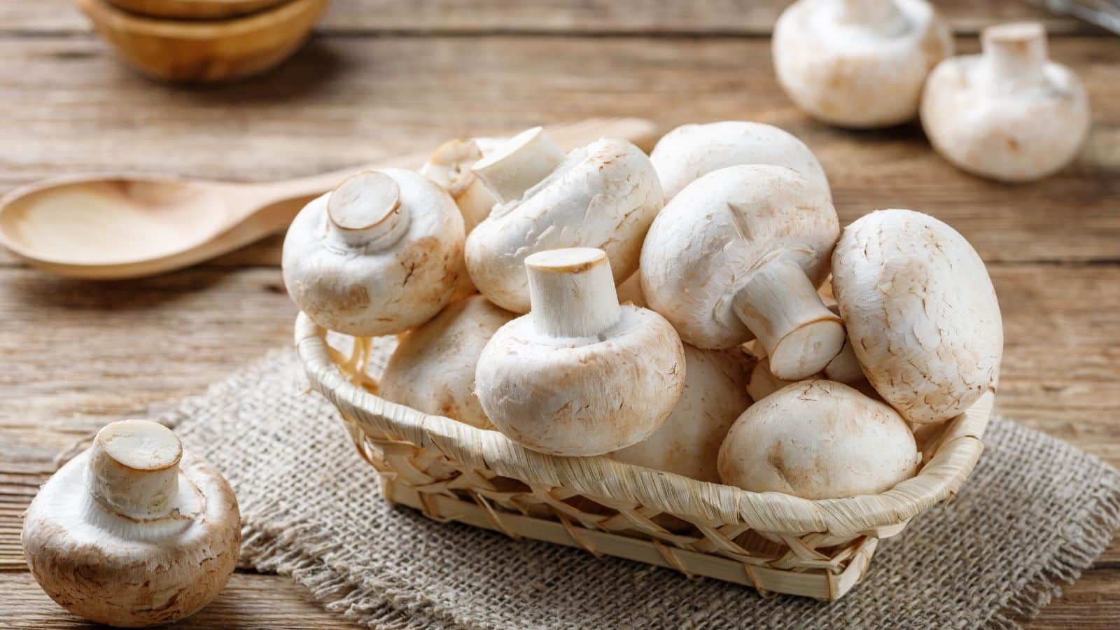Benefits Of Mushroom: मशरूम में छिपा है हेल्थ का खजाना, जानिए इसके 10 बेमिसाल फायदे