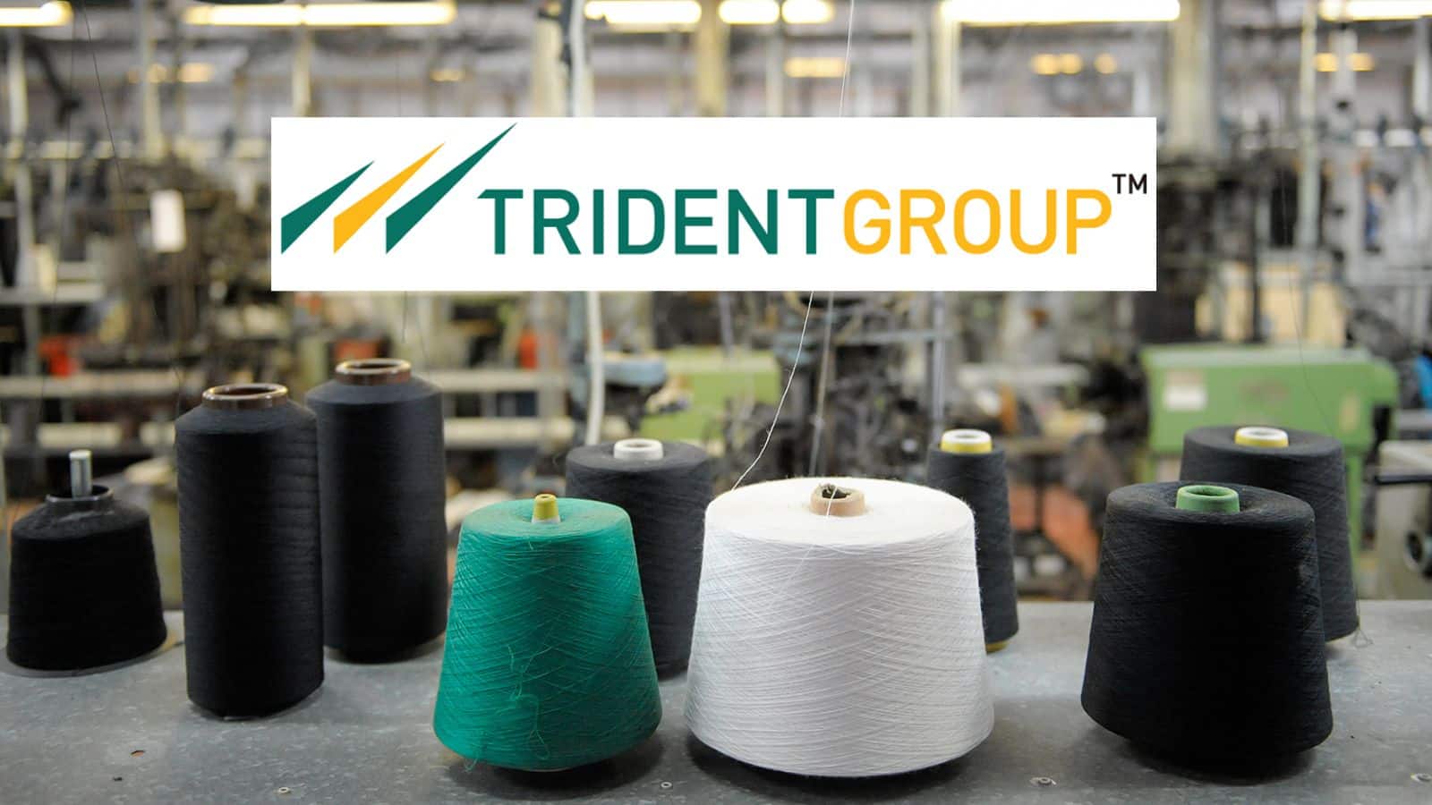 Trident Q4 Results: टेक्सटाइल कंपनी का मुनाफा डबल, डिविडेंड का ऐलान; शेयर 16% तक उछला