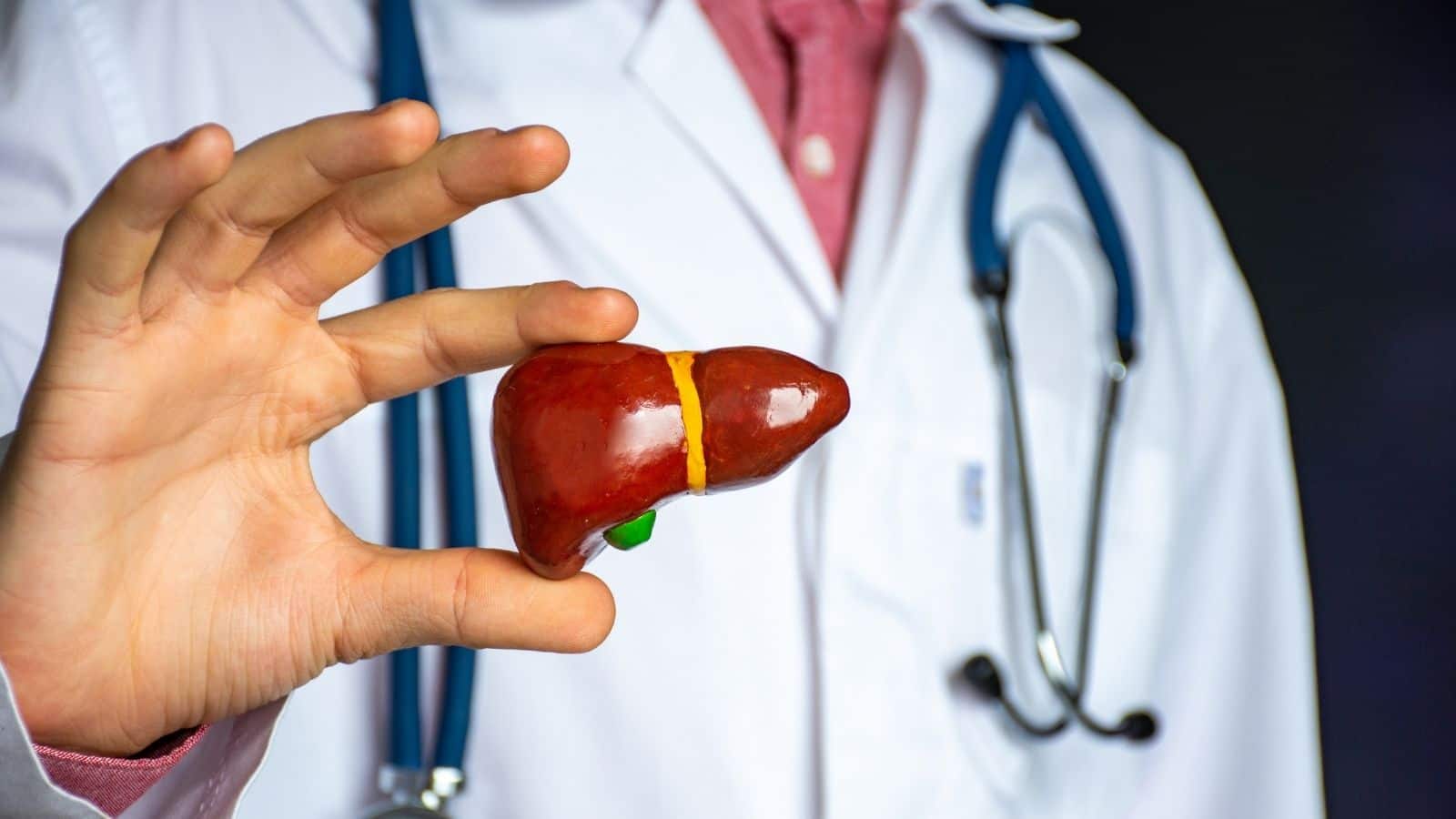 Liver: लिवर की सफाई के लिए अपनाएं ये 8 हेल्दी रेसिपी, गंदगी होगी साफ और एनर्जी होगी दोगुनी