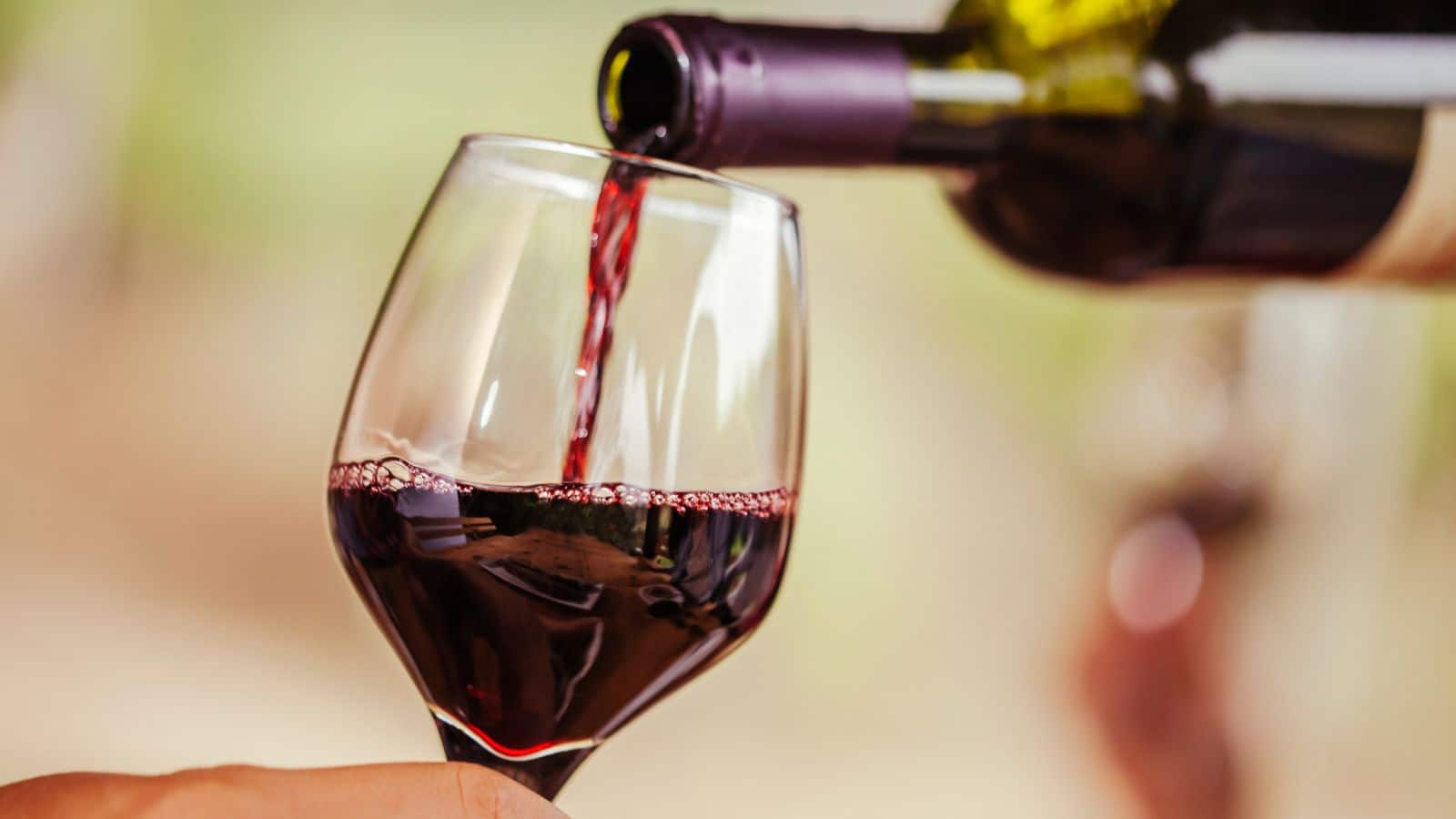 Red Wine Benefits: रेड वाइन से घटेगा कैंसर का खतरा, जानें इसके और भी चौंकाने वाले फायदे