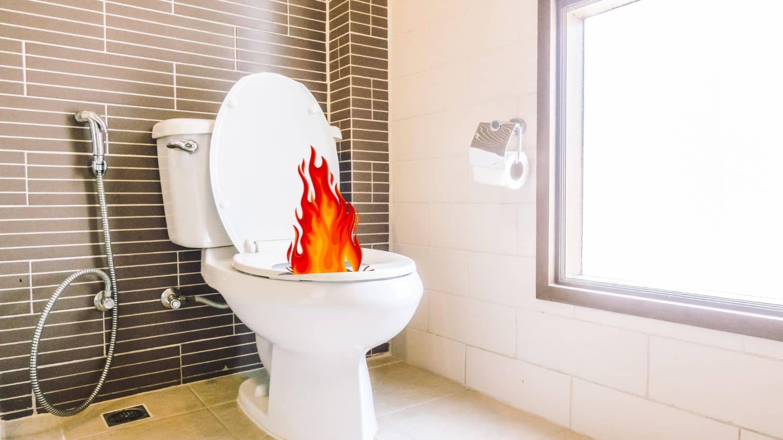 Toilet Safety Tips: कमोड बना बम! इन कारणों से हो सकता है ब्लास्ट, बचाव के लिए अपनाएं ये टिप्स