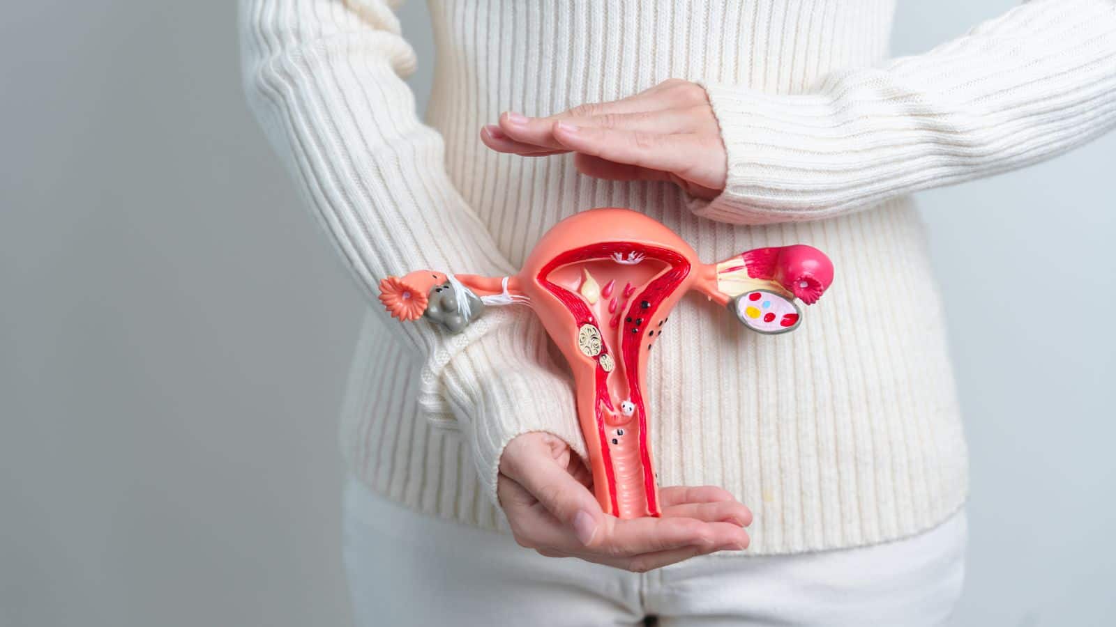 Ovarian Cancer: इन 5 लक्षणों को न करें नजरअंदाज, ओवेरियन कैंसर की हो सकती है शुरुआत Ovarian Cancer: इन 5 लक्षणों को न करें नजरअंदाज, ओवेरियन कैंसर की हो सकती है शुरुआत