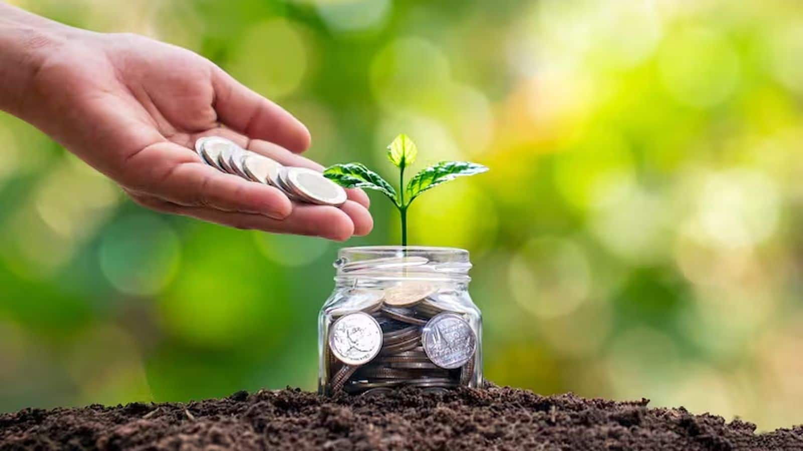 Jio Blackrock Mutual Fund will likely be entry available in the market, approval to start out performing from SEBI