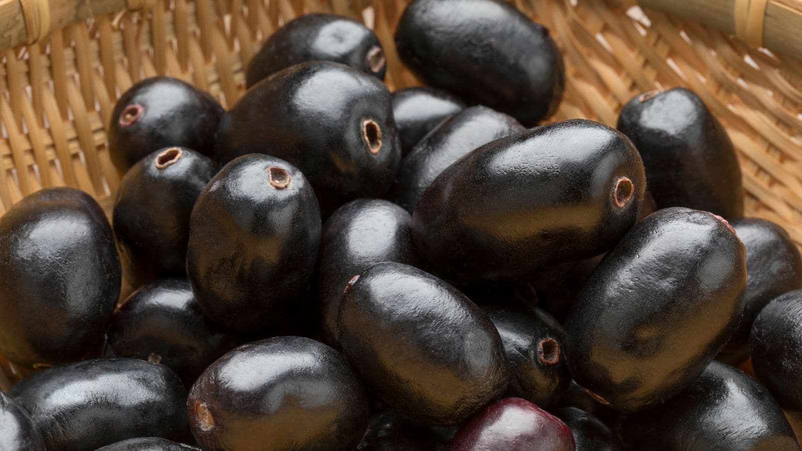 Jamun Benefits: जामुन को बनाएं अपनी डाइट का हिस्सा, सेहत के इन 10 रोगों में मिलेगा फायदा