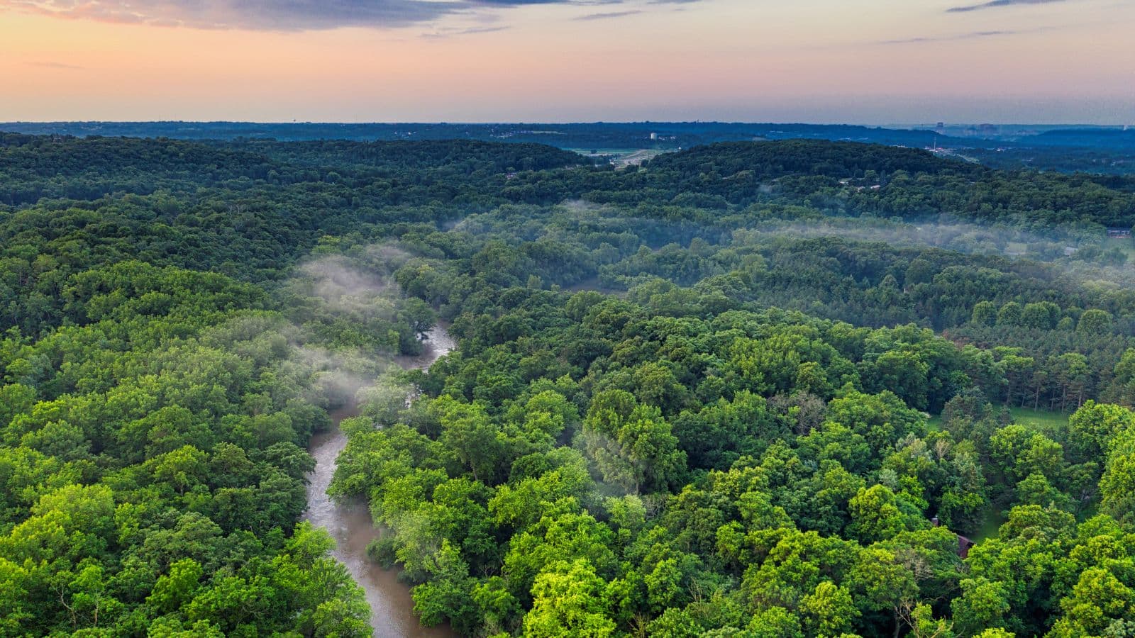 Amazon Forest: पिंक डॉल्फिन से लेकर ग्लास फ्रॉग तक...एमेजॉन के जंगल में पाए जाते हैं ये अनोखे जानवर Amazon Forest: पिंक डॉल्फिन से लेकर ग्लास फ्रॉग तक...एमेजॉन के जंगल में पाए जाते हैं ये अनोखे जानवर
