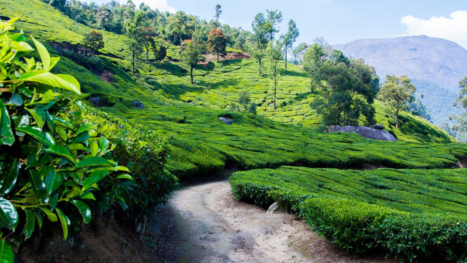 Monsoon Tourist Trip: जुलाई के महीने में इन जगहों पर घूमनें का बनाएं प्लान, मानसून में हो जाती है और भी सुंदर
