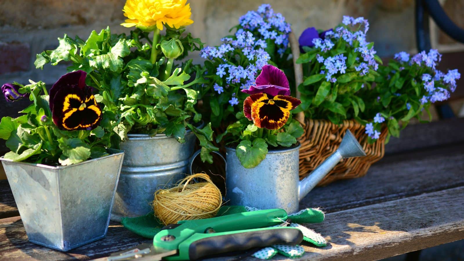 Gardening tips:  ना लगेगा पैसा, ना ज्यादा मेहनत, गर्मी में भी हरे-भरे रहेंगे पौधे, अपनाएं ये देसी ट्रिक
