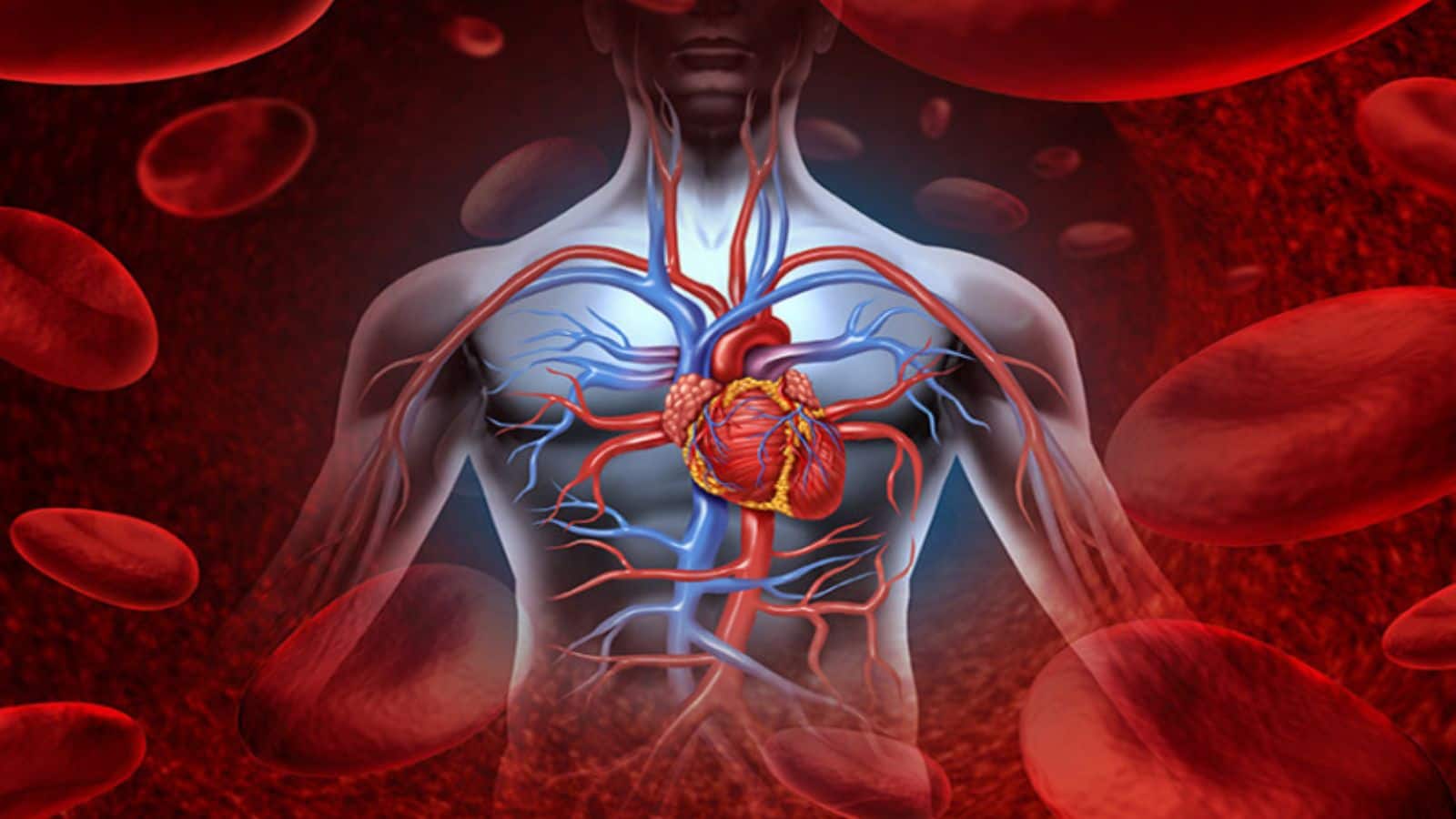 Heart Blockage: छोटी-छोटी तकलीफें हो सकती हैं बड़े खतरे का इशारा, जानें हार्ट अटैक के 5 संकेत Heart Blockage: छोटी-छोटी तकलीफें हो सकती हैं बड़े खतरे का इशारा, जानें हार्ट अटैक के 5 संकेत