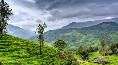 मानसून के मौसम किन- किन जगहों पर घूम सकते हैं आप (Photo Credit: Canva)