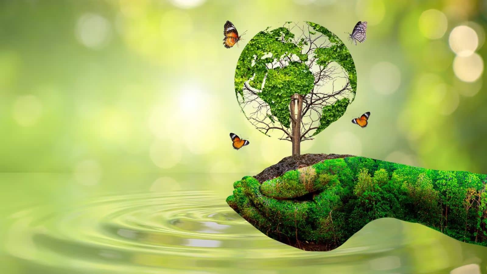 World Environment Day 2025: क्या है विश्व पर्यावरण दिवस और क्यों मनाया जाता है ये? इस साल की खास थीम के बारे में भी जानिए - world environment day 2025 theme significance