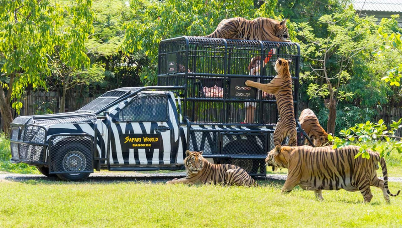 Safari world