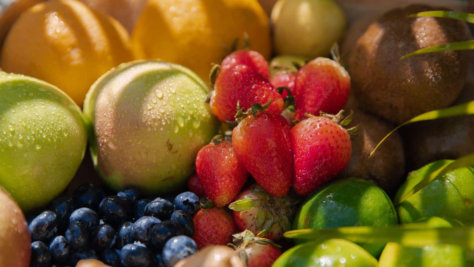 Monsoon Fruits: पेट की तबाही मचा सकते हैं ये 5 फल, बारिश में भूलकर भी न करें सेवन