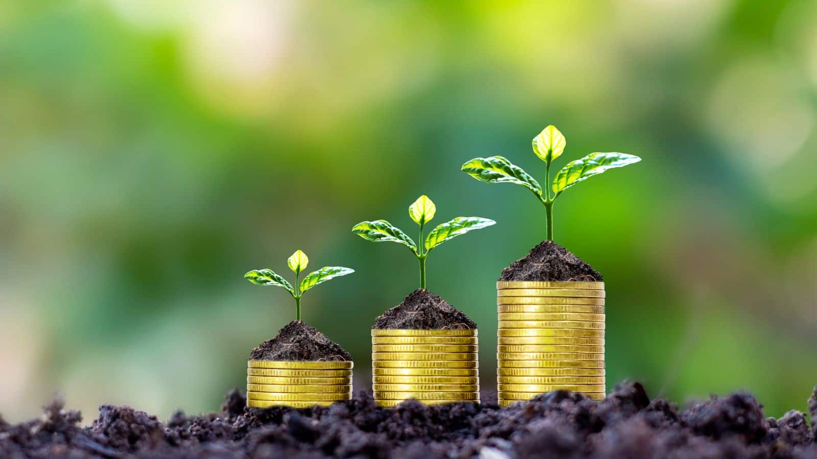 Mutual Fund Tips: एफडी से ज्यादा रिटर्न और शेयरों से कम रिस्क! क्या आपको डेट फंड्स में इनवेस्ट करना चाहिए?