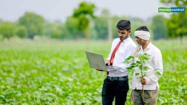 PM Kisan: नवंबर के पहले हफ्ते में आएगी पीएम किसान की किश्त? जानिये अपडेट