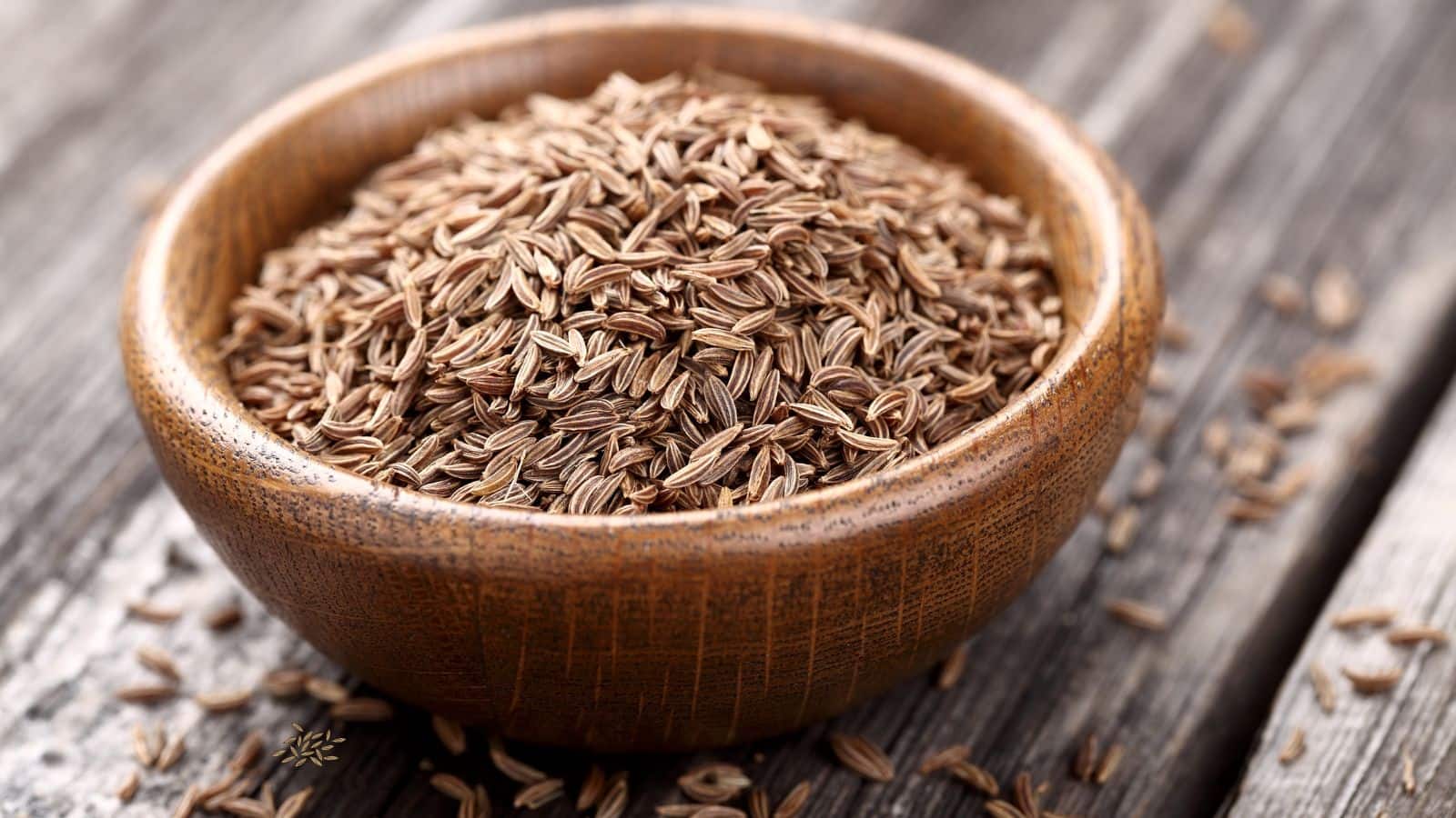 Cumin prices: जीरे की कीमतों में उछाल आया, 6 महीने के ऊंचाई पर पहुंचे भाव, आगे कीमतों पर क्या होगा असर Cumin prices: जीरे की कीमतों में उछाल आया, 6 महीने के ऊंचाई पर पहुंचे भाव, आगे कीमतों पर क्या होगा असर