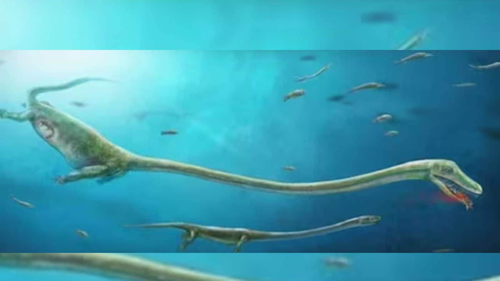 Dragon: क्या धरती पर सच में मौजूद थे उड़ने वाले समुद्री ड्रैगन? 24 करोड़ साल पुराने जीवाश्म से हो रही पुष्टि!