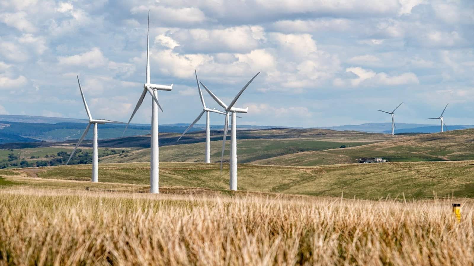 Suzlon Energy पर अब Motilal Oswal MF ने लगाया दांव, खरीदी इतनी शेयरहोल्डिंग; कीमत 3 साल में 1000% चढ़ी