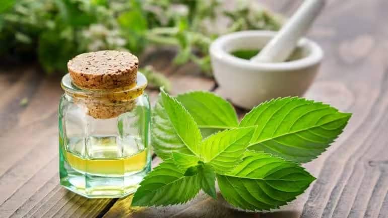 Gem Aromatics IPO: जेम एरोमैटिक्स का आईपीओ निवेश के लिए खुला, क्या आपको अप्लाई करना चाहिए? Gem Aromatics IPO: जेम एरोमैटिक्स का आईपीओ निवेश के लिए खुला, क्या आपको अप्लाई करना चाहिए?