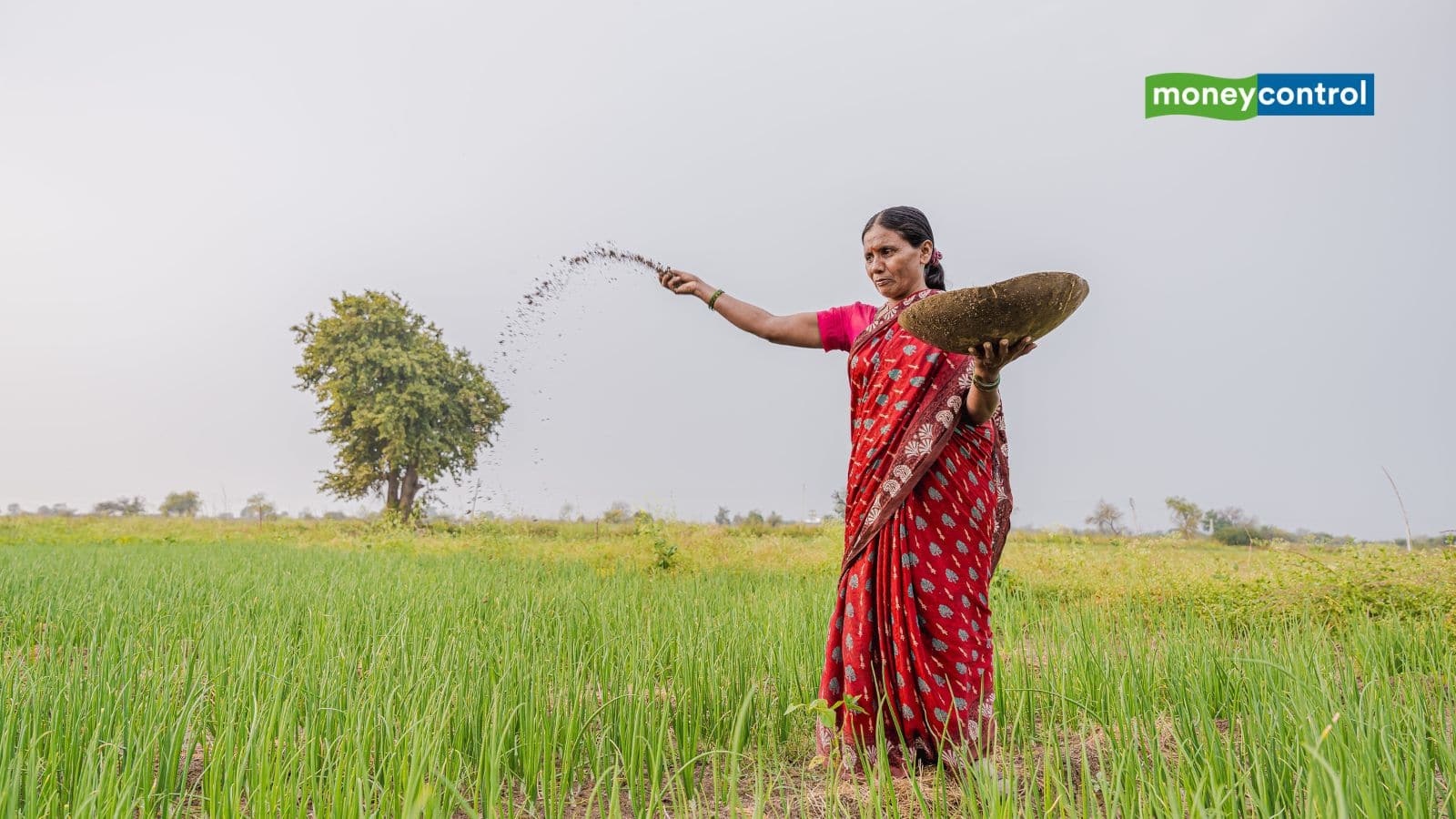 fertilizer india farmer