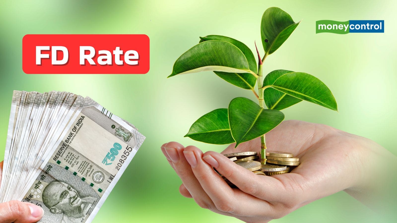 FD Rate: ये 10 बैंक दे रहे FD पर सबसे ज्यादा ब्याज, जानें मैच्योरिटी पर कितना होगा ₹1 लाख का डिपॉजिट