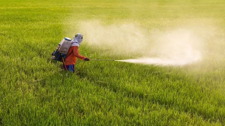 Fertilizer: फर्टिलाइजर पर GST में होगी भारी कटौती! FAI ने केंद्र सरकार ये की ये बड़ी मांग