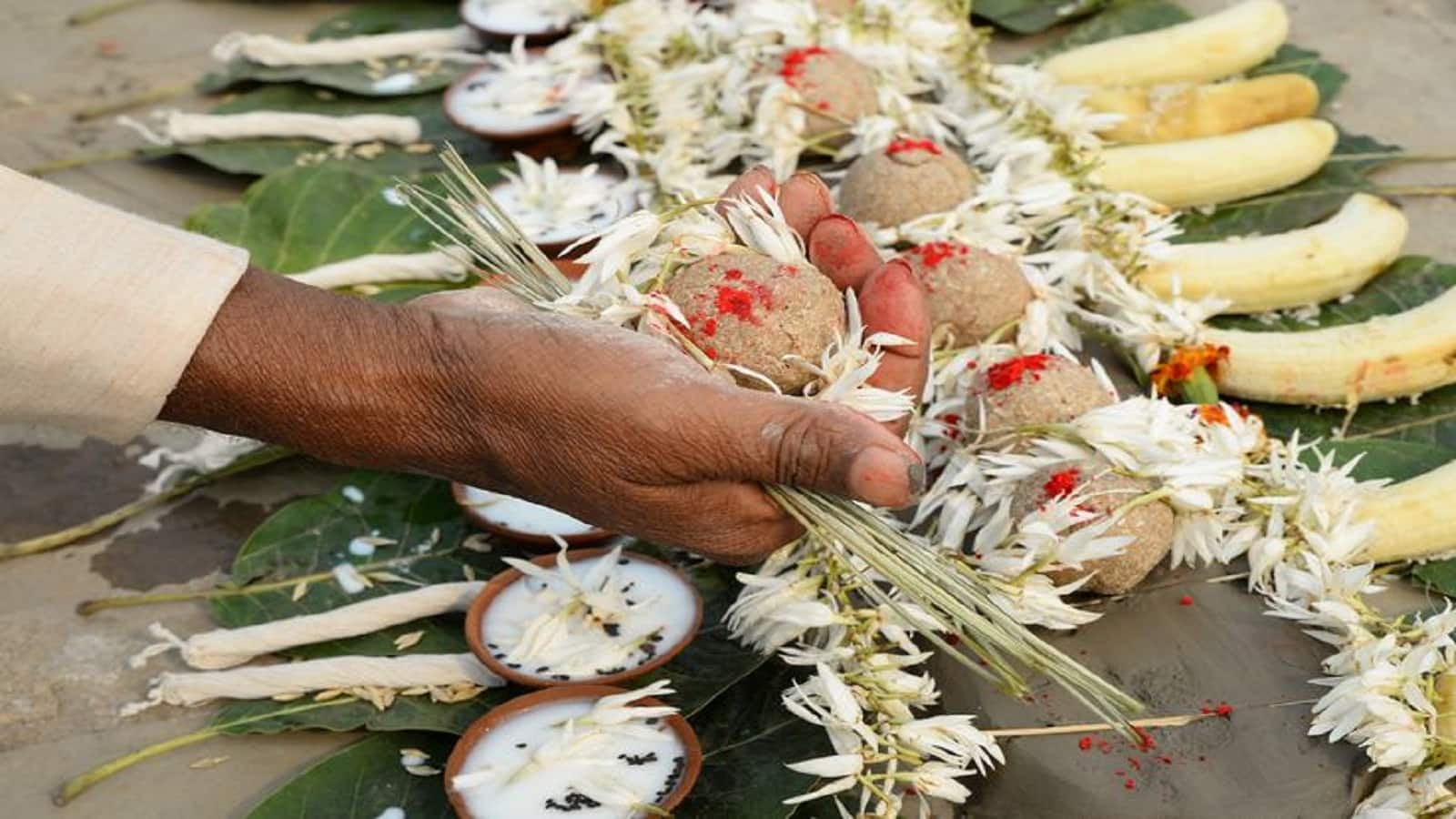 Ekadashi Shradh 2025: 17 सितंबर को किया जाएगा एकादशी का श्राद्ध, जानिए इसके नियम और विधि