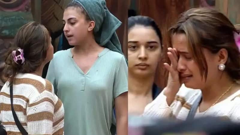 Bigg Boss 19 के घर में फिर छिड़ी बहस, नीलम गिरी और फरहाना के बीच नॉमिनेशन को लेकर तकरार