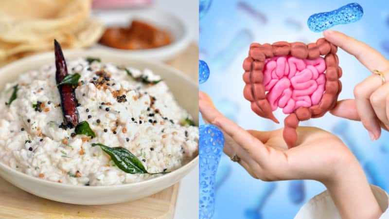 Gut Health: आंतों की सेहत को ठीक करने के लिए सेवन करें इन 10 भारतीय खाने का जो आपके गट को करते हैं सुपरचार्ज