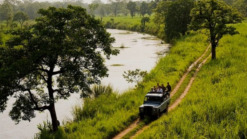 Jungle Safari: क्या आप भी जंगल सफारी के शौकीन हैं ? तो भारत के इन खास नेशनल पार्क्स का जरूर लें एक्सपीरियंस