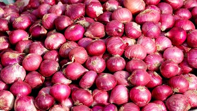 Onion Farming: प्याज की खेती के लिए अच्छे बीज की मांग हमेशा रहती है। 