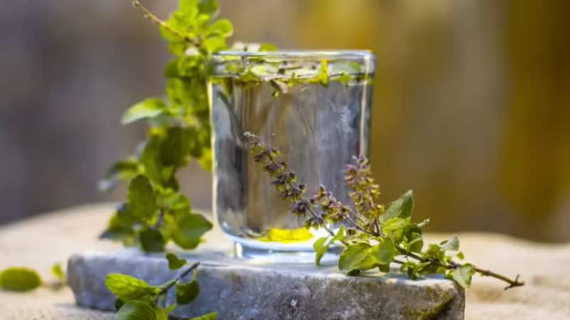 Glowing Skin: सुबह उठते ही इस तरह पीएं तुलसी का पानी, चेहरे पर आएगी चमक और खिल उठेगी त्वचा