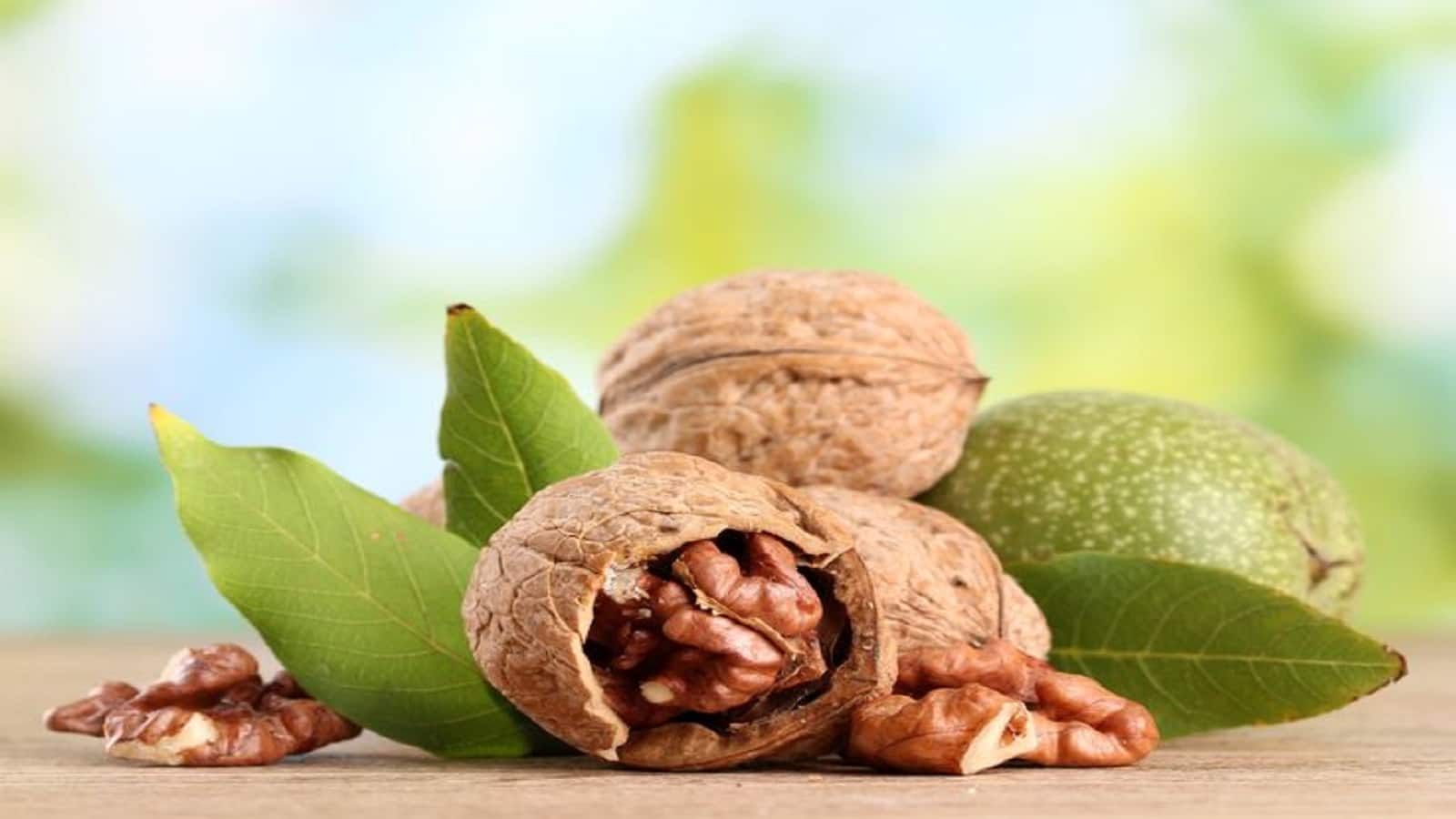 Walnut Eating Health Benefits: अखरोट खाने पर मिलते हैं ये फायदे, खाने का सही तरीका जानें