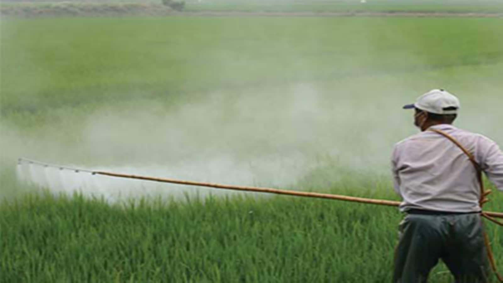 Advance Agrolife IPO Listing: 56 गुना सब्सक्राइब हुआ था आईपीओ, अब 14% प्रीमियम पर लिस्ट हुआ ₹100 का शेयर