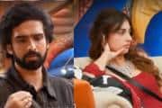 Bigg Boss 19: बिग बॉस के घर में इस हफ्ते नहीं होगा कोई कैप्टन, अमाल ने फरहाना से कहा सॉरी