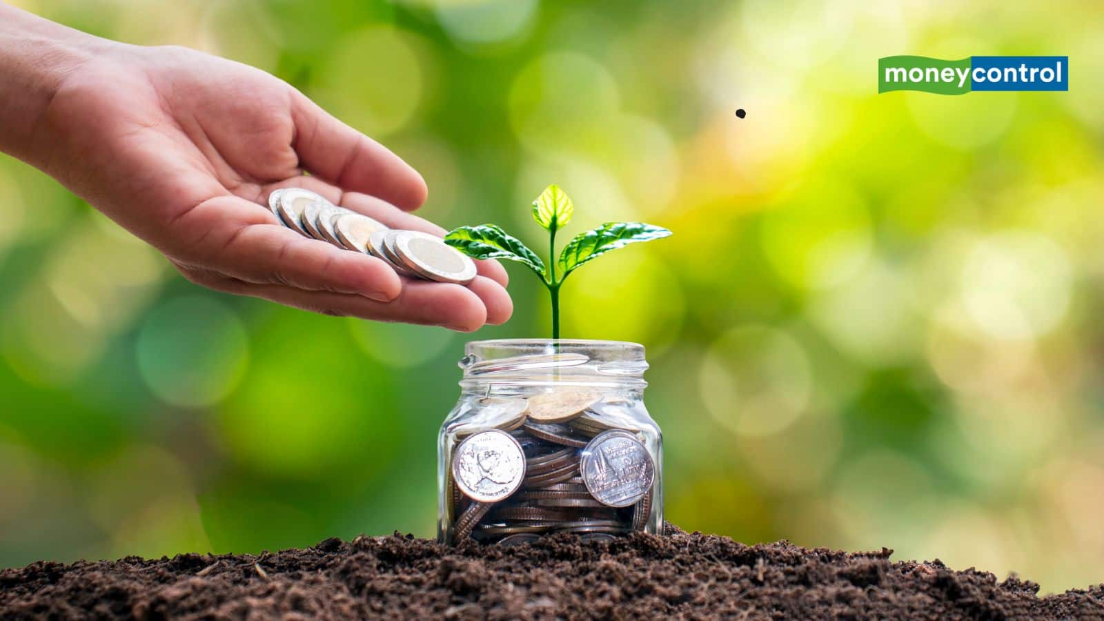 Punjab National Bank PNB also offers 6.6% interest on one year FD. An investment of Rs 1 lakh reaches Rs 1,06,600 at the end of the year. 
