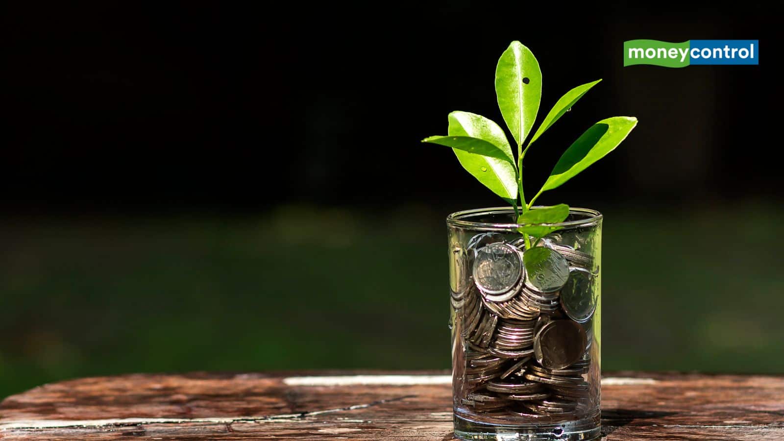 FD Rates: एफडी पर कहां मिल रहा है सबसे ज्यादा 8% का ब्याज, जानिये बैंकों की लिस्ट