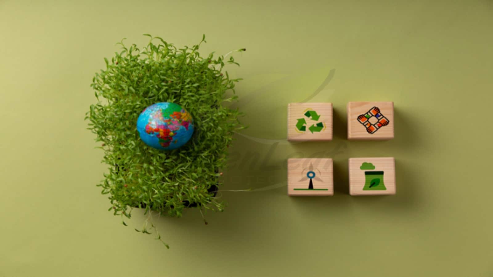 Greenleaf Envirotech IPO Listing: फ्लैट एंट्री के बाद ₹136 का शेयर लोअर सर्किट पर, नए निवेश से पहले चेक करें ये डिटेल्स