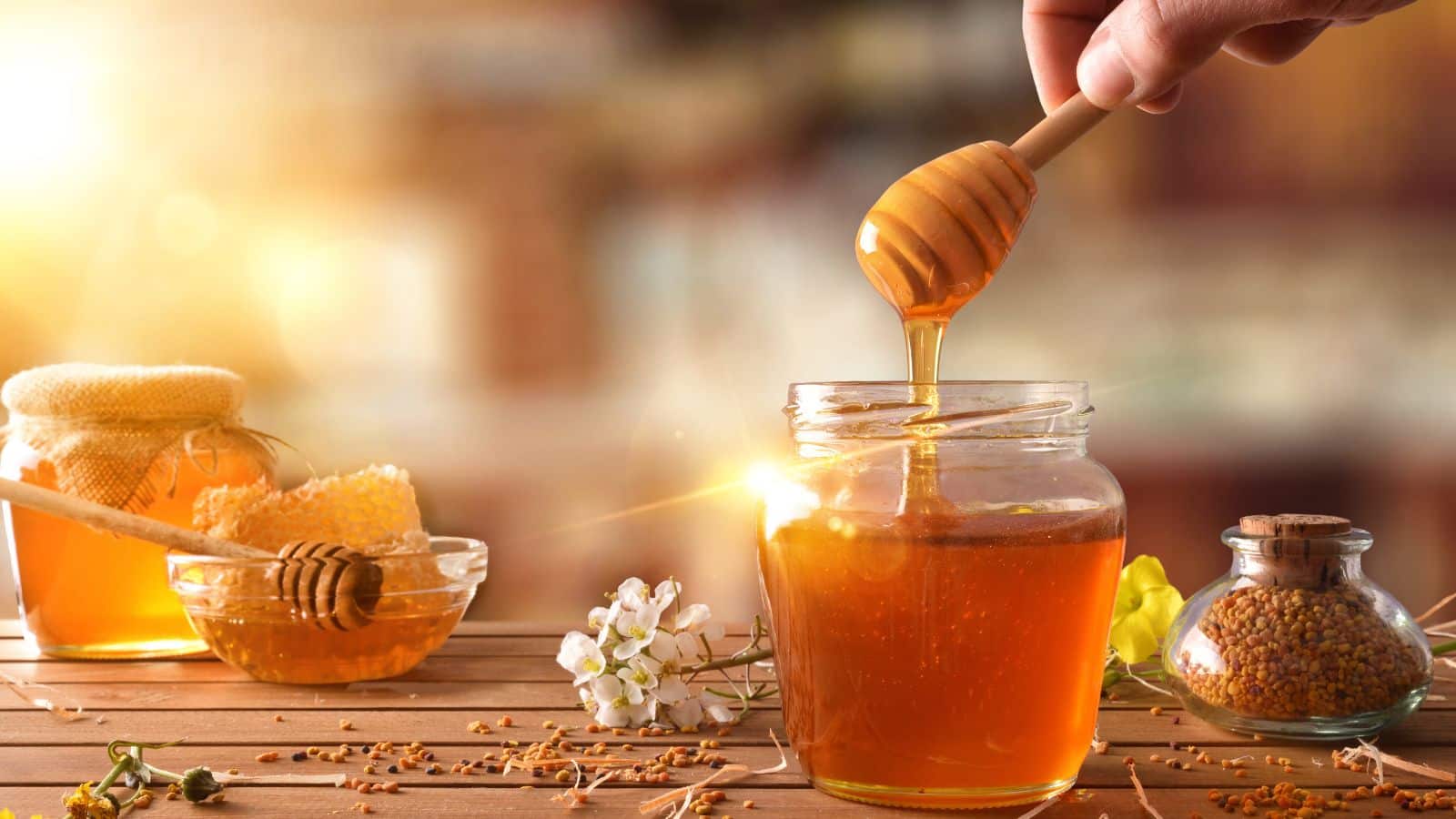 Weight Loss: सुबह खाली पेट शहद वाला गुनगुना पानी, 1 हफ्ते में देखें कमर की चर्बी कैसे घटती है!