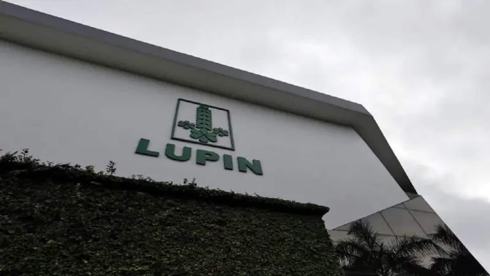 Lupin share price : जेफरीज के बुलिश नजरिए ने स्टॉक में भरा जोश, 2.5% भागा शेयर