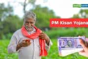 PM Kisan 21st instalment: पीएम किसान योजना पर बड़ा अपडेट, जानिए कब मिलेगा 21वीं किस्त का पैसा