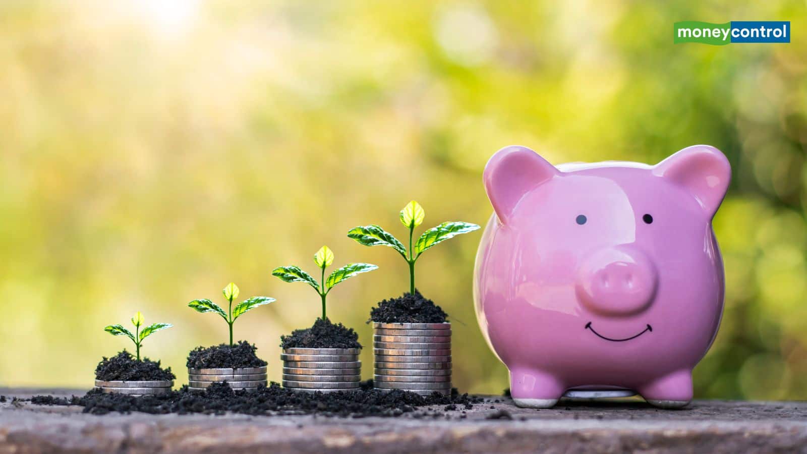 Anand Rathi Wealth Q2 Results: 31% बढ़ा का मुनाफा, रेवेन्यू में भी उछाल; डिविडेंड का ऐलान