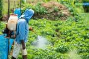 Rallis India Q2 Results: टाटा ग्रुप की कंपनी को ₹102 करोड़ का मुनाफा, लेकिन रेवेन्यू 7% गिरा