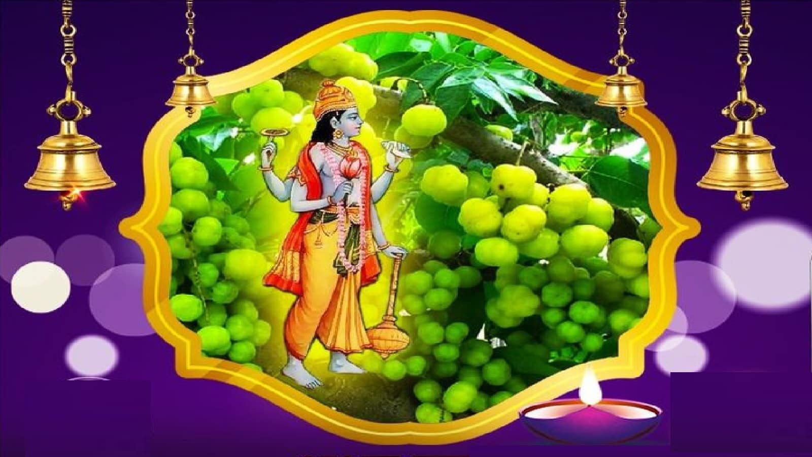 Amla Navmi 2025 Upay: 31 अक्टूबर को आ रहा है अक्षय पुण्य कमाने का मौका, इस दिन कर लें ये 7 उपाय बदल जाएगी जिंदगी