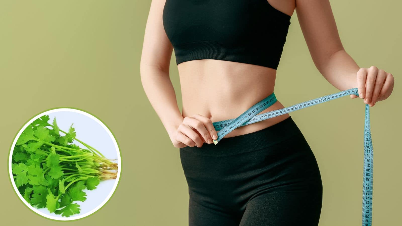 Weight Loss: धनिया से घटाएं पेट की चर्बी, जानिए रोजाना कैसे करें इस्तेमाल!