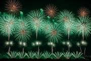 Diwali Firecracker Delhi: दिल्ली में कब फोड़ सकते हैं पटाखे? कहां से मिलेंगे ग्रीन पटाखे, जानिये पूरी डिटेल
