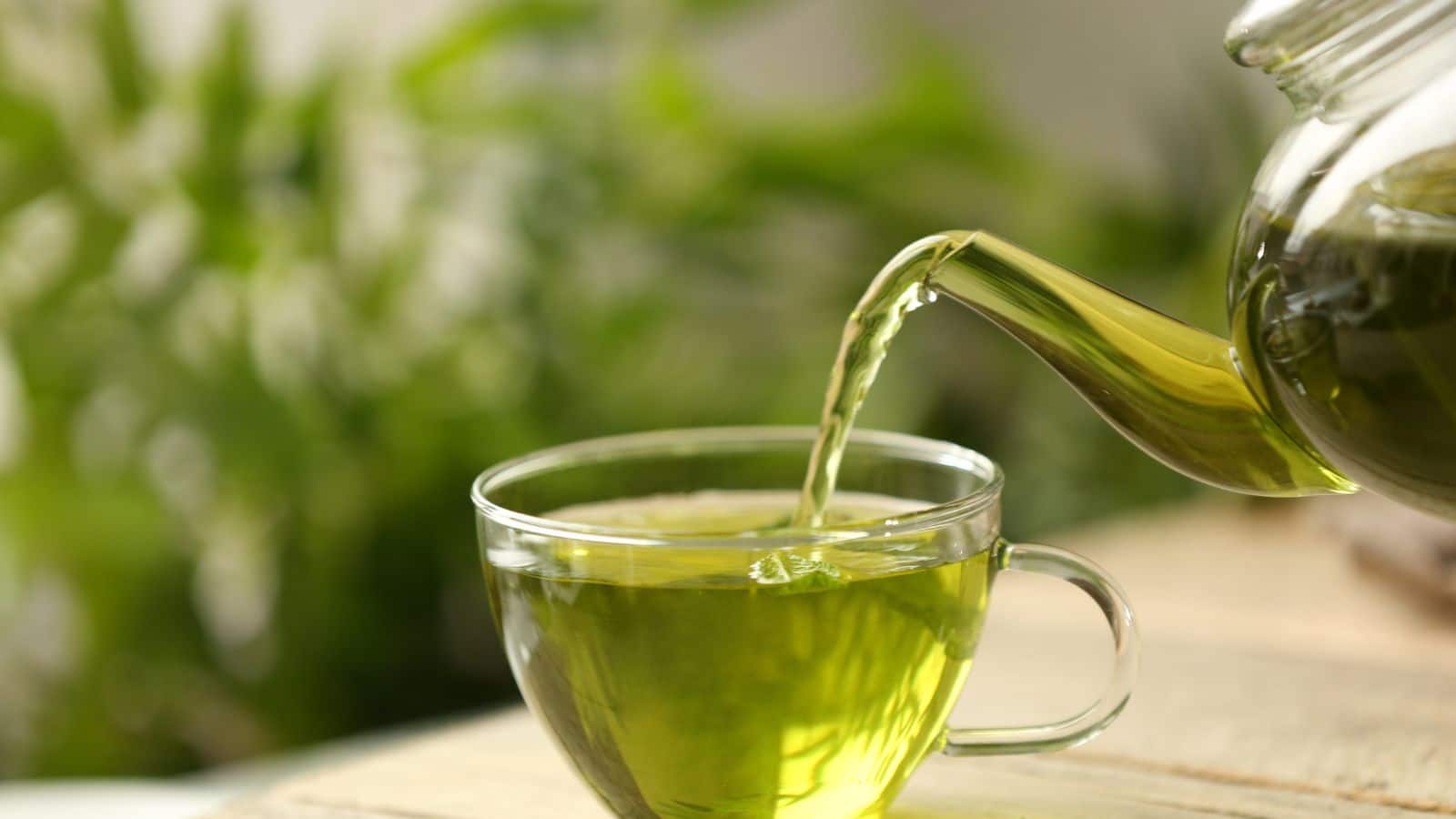 Green Coffee: वजन घटाने के चक्कर में न करें ये गलती, रोज पीने से हो सकता है सेहत को बड़ा नुकसान