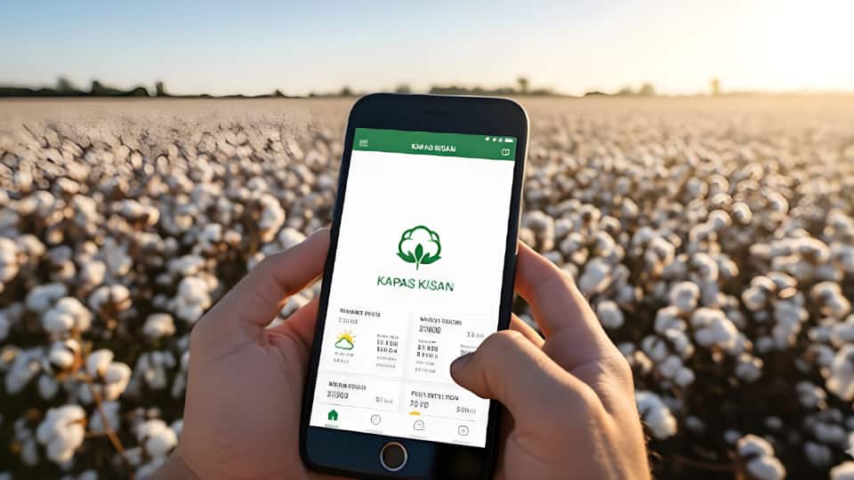 Kapas Kisaan App: हरियाणा सरकार ने लॉन्च किया 'कपास किसान' ऐप, किसानों के लिए बना फसल बेचने का आसान तरीका