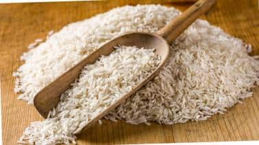 Rice Prices Rising in India: देश में कैसा है चावल का हाल, क्या कीमतों में आने वाला है उबाल, जानें एक्सपर्ट्स की राय