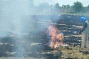 पंजाब में 15 सितंबर से 21 अक्टूबर तक खेतों में पराली जलाने की घटनाओं में आई कमी