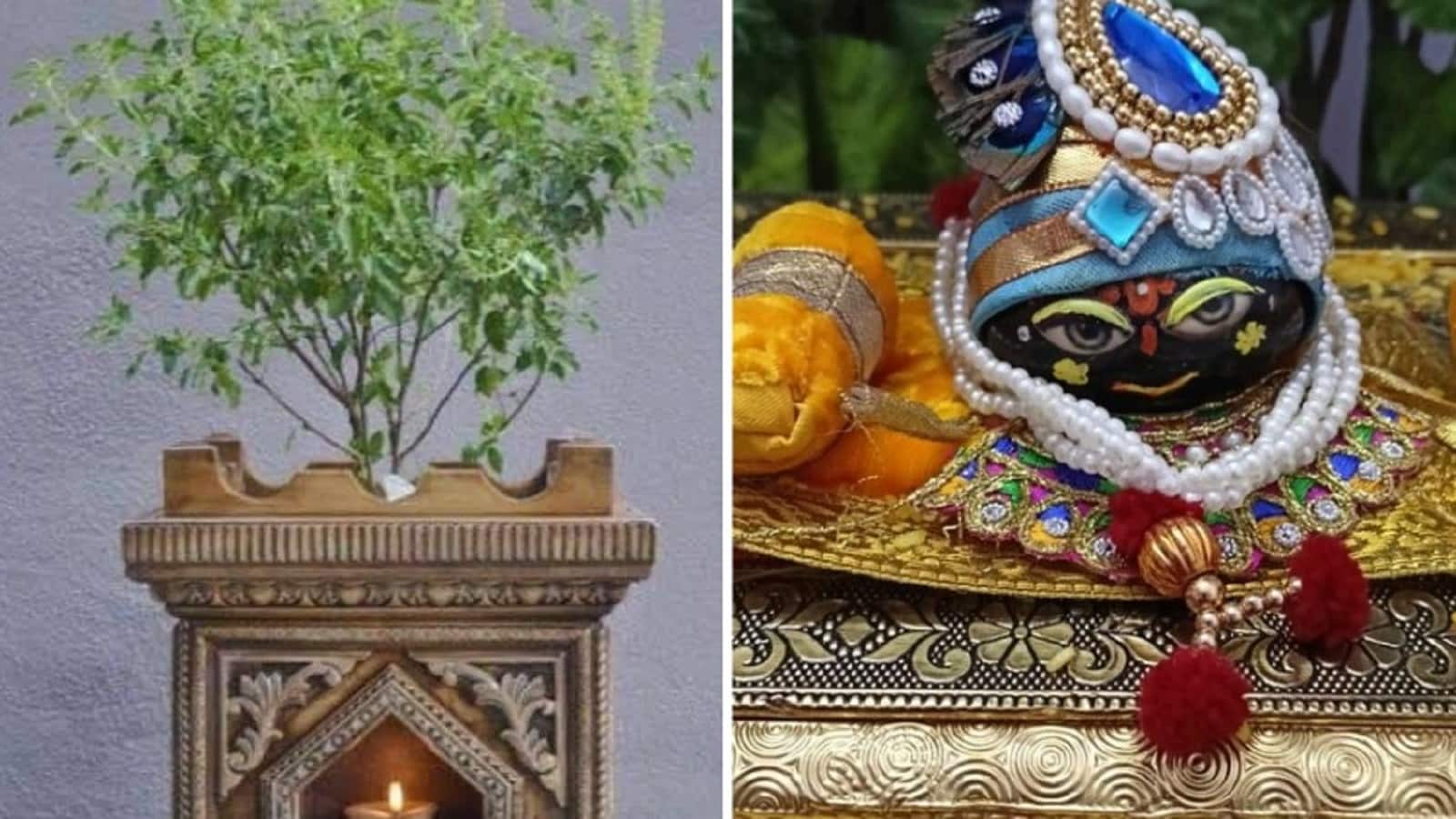 Tulsi Plant ke Upay: कार्तिक मास में तुलसी के पास रखें ये 4 चीजें, घर में नहीं होगी धन-दौलत की कमी